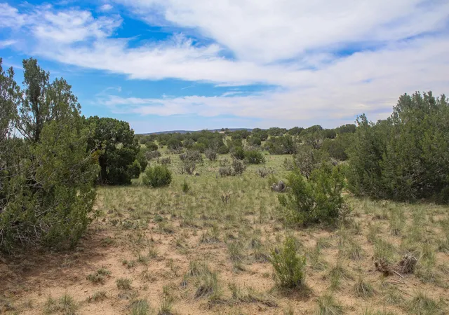 3rd image of 19 Neighborly Wy, Edgewood, NM 87015 | MLS# 1107468