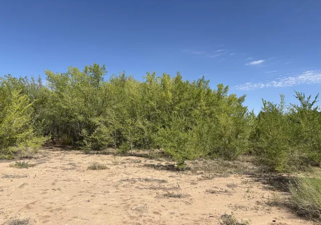Photo 2 of Land for sale at Darla (tract 4) Dr, Los Lunas, NM 87031 | MLS# 1107507 | Listing updated on 2026-08-12