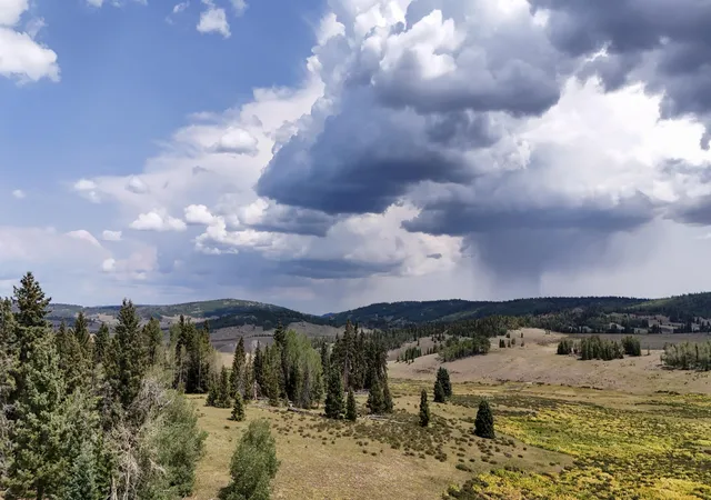 Photo 2 of Land for sale at Tbd Usfs Rd 93, Tres Piedras, NM 87577 | MLS# 1107551 | Listing updated on 2026-08-27