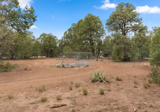 Photo 5 of Single family home for sale at 46 Mcdonald Rd, Edgewood, NM 87015 | MLS# 1107552 | Listing updated on 2026-08-20