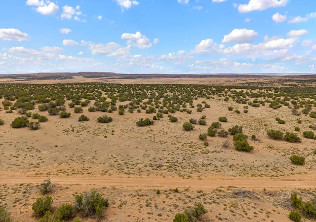 Homes for sale in Quemado, NM | Lot 2 St Johns Rd, Quemado, NM 87829 | MLS# 1107561