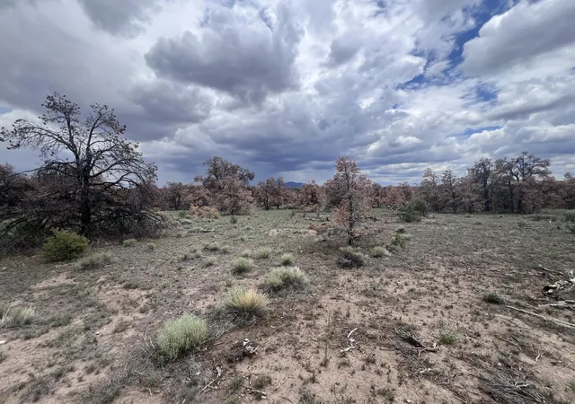 Homes for sale in Quemado, NM | Lot 57 Fountain Hills Rd, Quemado, NM 87829 | MLS# 1107569
