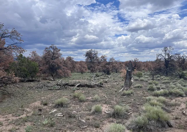 Homes for sale in Quemado, NM | Lot 57 Fountain Hills Rd, Quemado, NM 87829 | MLS# 1107569