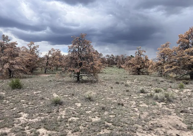 Homes for sale in Quemado, NM | Lot 57 Fountain Hills Rd, Quemado, NM 87829 | MLS# 1107569