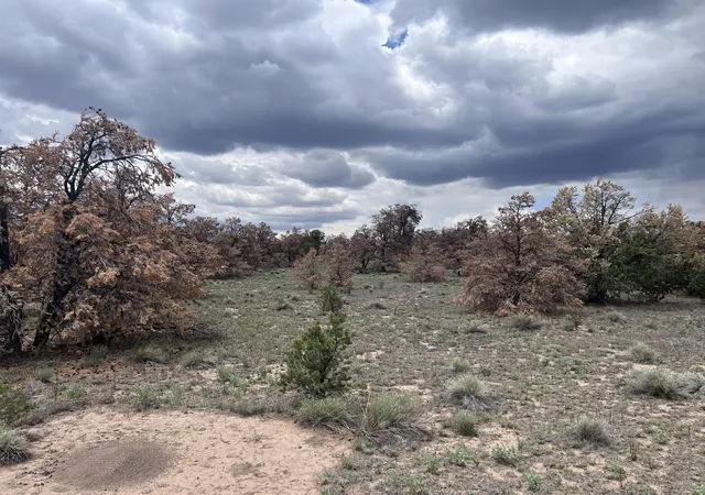 Homes for sale in Quemado, NM | Lot 57 Fountain Hills Rd, Quemado, NM 87829 | MLS# 1107569
