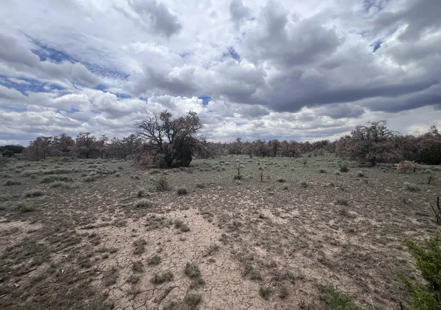 Homes for sale in Quemado, NM | Lot 57 Fountain Hills Rd, Quemado, NM 87829 | MLS# 1107569