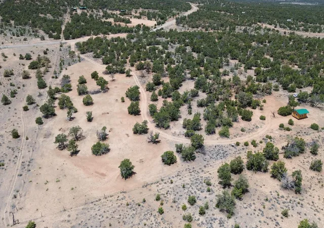 Homes for sale in Pie Town, NM | 1488 New Mexico 603, Pie Town, NM 87827 | MLS# 1107576