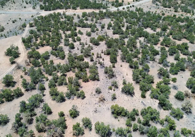 Homes for sale in Pie Town, NM | 1488 New Mexico 603, Pie Town, NM 87827 | MLS# 1107576