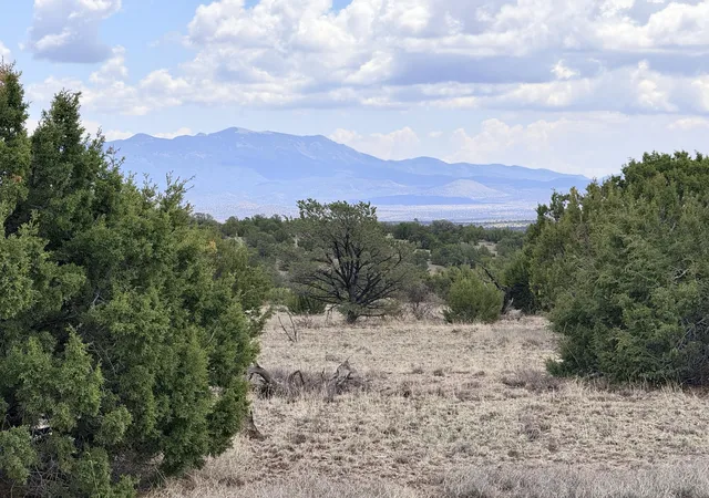 Homes for sale in Magdalena, NM | Lot 155 Pinon Springs, Magdalena, NM 87825 | MLS# 1107605