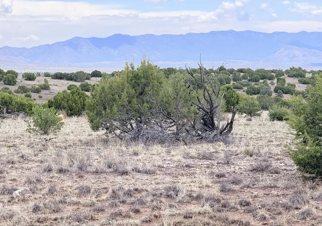 Homes for sale in Magdalena, NM | Lot 155 Pinon Springs, Magdalena, NM 87825 | MLS# 1107605