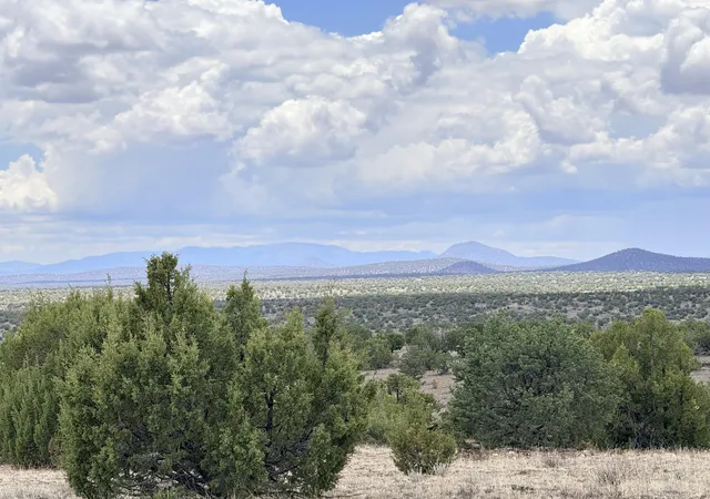 Homes for sale in Magdalena, NM | Lot 155 Pinon Springs, Magdalena, NM 87825 | MLS# 1107605