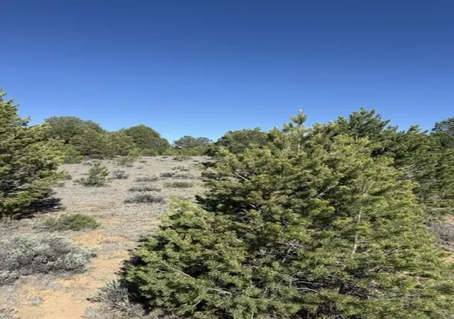 Homes for sale in Ramah, NM | Lot 6 Five Gate Rd, Ramah, NM 87321 | MLS# 1107606