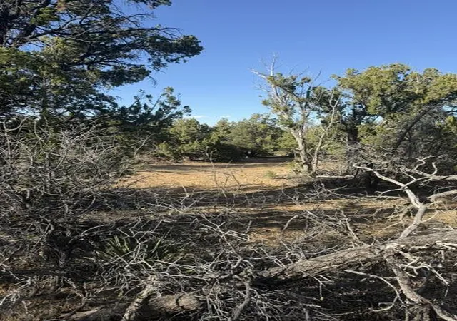 Homes for sale in Ramah, NM | Lot 6 Five Gate Rd, Ramah, NM 87321 | MLS# 1107606