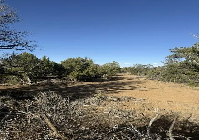 Homes for sale in Ramah, NM | Lot 6 Five Gate Rd, Ramah, NM 87321 | MLS# 1107606