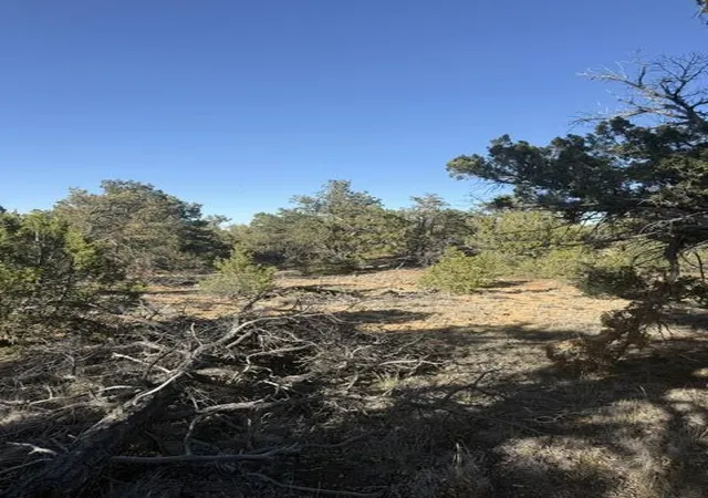 Homes for sale in Ramah, NM | Lot 6 Five Gate Rd, Ramah, NM 87321 | MLS# 1107606