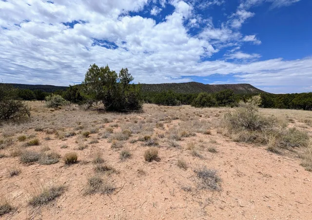 Photo 1 of Land for sale at 2384 Jumano Trl, Mountainair, NM 87036 | MLS# 1107673 | Listing updated on 2026-08-17