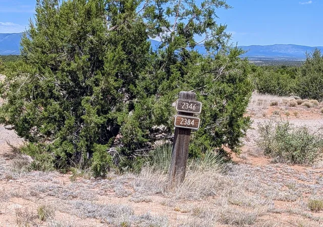 Photo 5 of Land for sale at 2384 Jumano Trl, Mountainair, NM 87036 | MLS# 1107673 | Listing updated on 2026-08-17