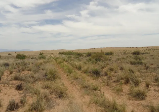 16th image of Canyon Rd, Laguna, NM 87026 | MLS# 1107691