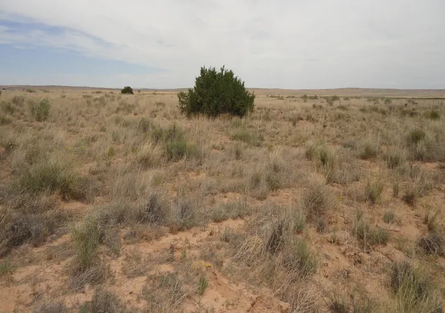 16th image of Canyon, Laguna, NM 87026 | MLS# 1107692