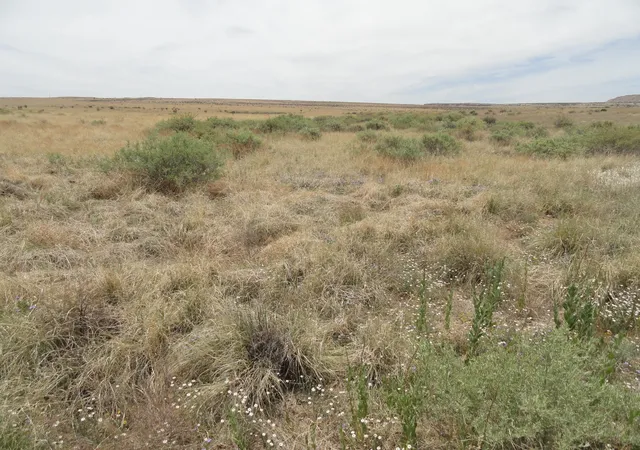 1st image of Canyon, Laguna, NM 87026 | MLS# 1107692