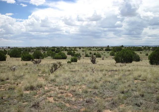 4th image of 975 Nm-344, Edgewood, NM 87015 | MLS# 1107715