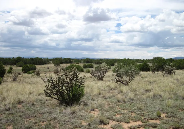 5th image of 975 Nm-344, Edgewood, NM 87015 | MLS# 1107715