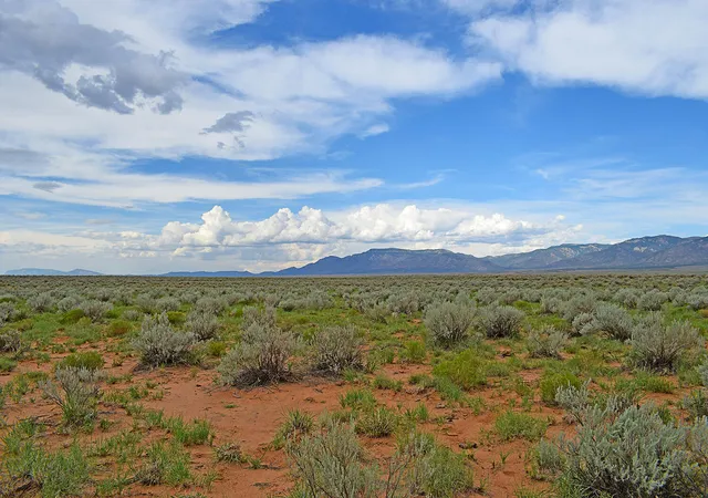 4th image of Lot 14 Rio Grande Estates #26, Belen, NM 87002 | MLS# 1107720