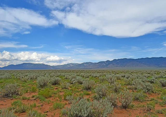 5th image of Lot 14 Rio Grande Estates #26, Belen, NM 87002 | MLS# 1107720