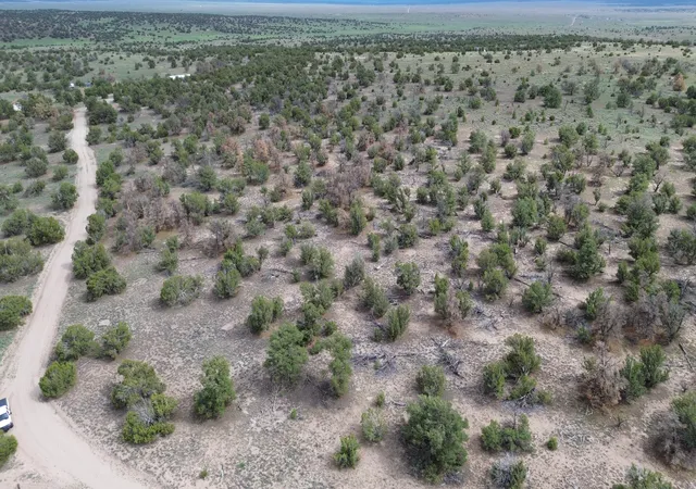 Homes for sale in Quemado, NM | Lot 20 Horseshoe Cir, Quemado, NM 87829 | MLS# 1107751