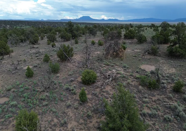 Homes for sale in Quemado, NM | Lot 20 Horseshoe Cir, Quemado, NM 87829 | MLS# 1107751