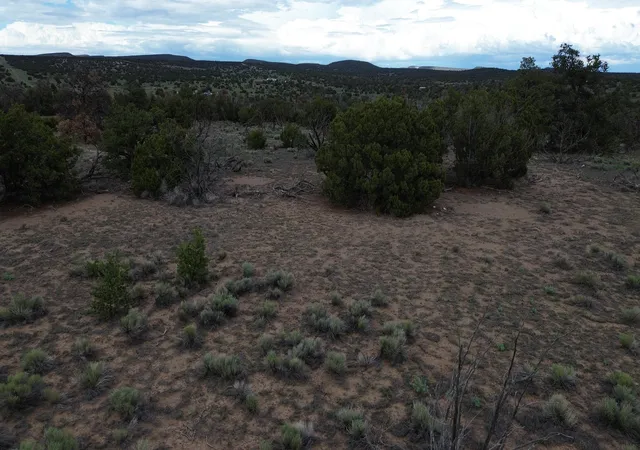Homes for sale in Quemado, NM | Lot 20 Horseshoe Cir, Quemado, NM 87829 | MLS# 1107751