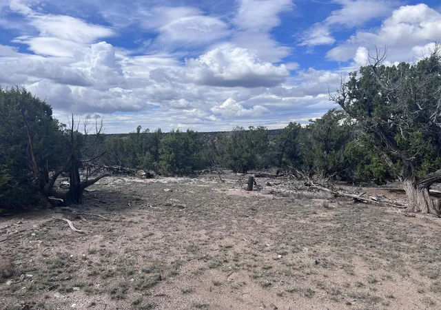 Homes for sale in Quemado, NM | Lot 20 Horseshoe Cir, Quemado, NM 87829 | MLS# 1107751