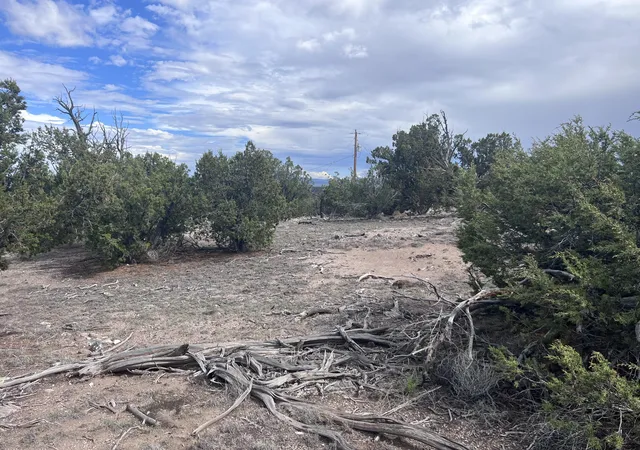 Homes for sale in Quemado, NM | Lot 20 Horseshoe Cir, Quemado, NM 87829 | MLS# 1107751