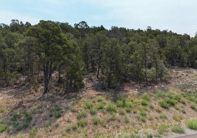 1st image of 132 Prestige Dr, Tijeras, NM 87059 | MLS# 1107784