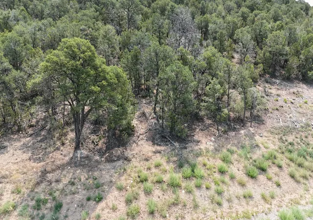 2nd image of 132 Prestige Dr, Tijeras, NM 87059 | MLS# 1107784