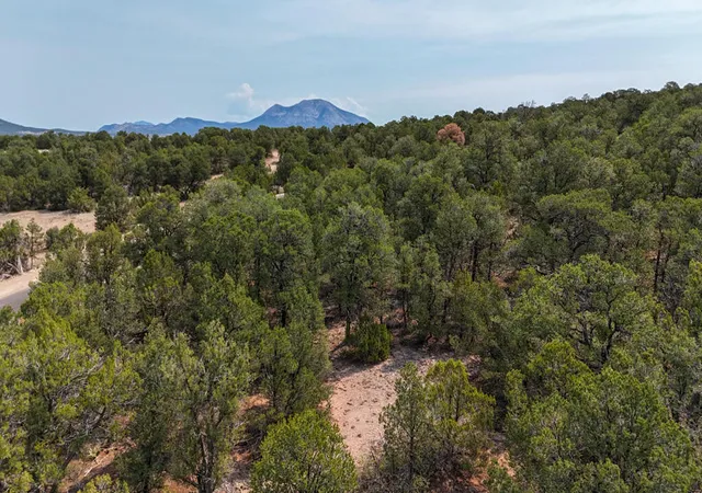 5th image of 132 Prestige Dr, Tijeras, NM 87059 | MLS# 1107784