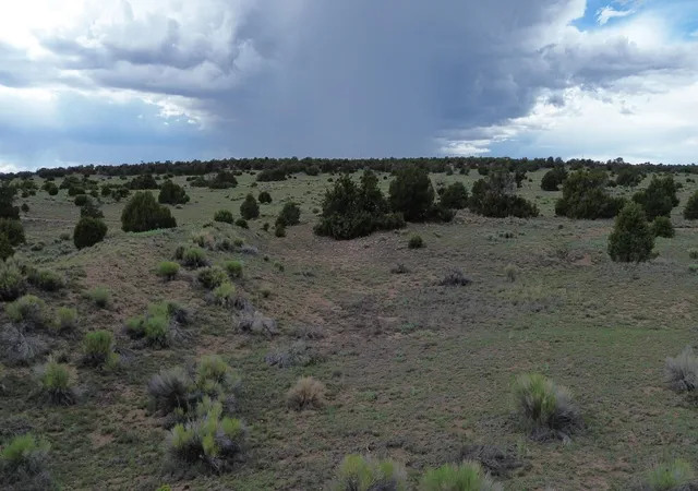 Photo 10 of Land for sale at Lot 103 Tee Pee Trl, Quemado, NM 87829 | MLS# 1107808 | Listing updated on 2026-08-19