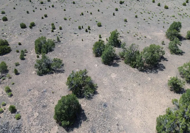 Photo 4 of Land for sale at Lot 103 Tee Pee Trl, Quemado, NM 87829 | MLS# 1107808 | Listing updated on 2026-08-19