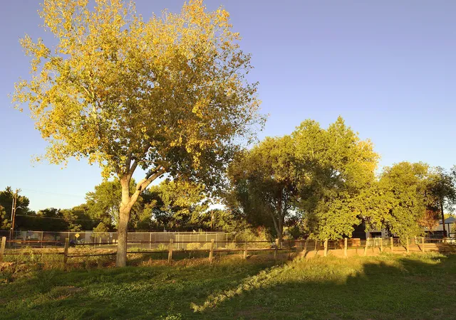 4th image of 2914 Mountain Rd Nw, Albuquerque, NM 87104 | MLS# 1107731
