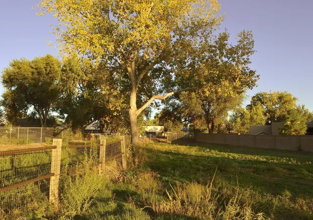 5th image of 2914 Mountain Rd Nw, Albuquerque, NM 87104 | MLS# 1107731
