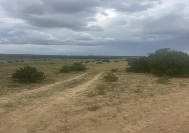 Photo 3 of Sale Pending at 9 Peaceful Dr, Pinehill, NM 87357 | MLS# 1107892 | Listing updated on 2026-08-09