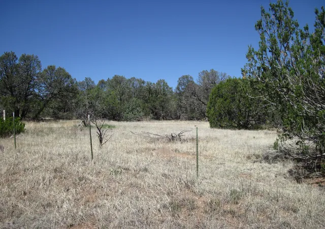1st image of 156 Jesse James Rd, Edgewood, NM 87015 | MLS# 1107969