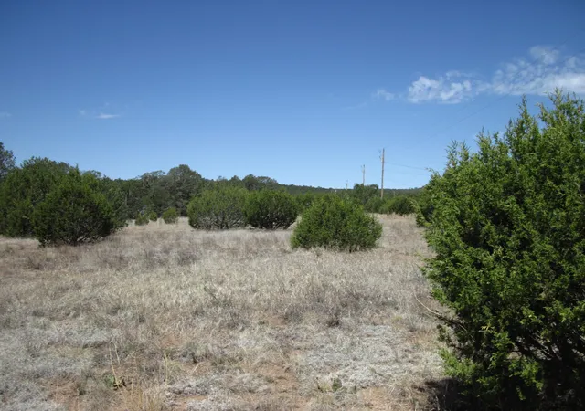2nd image of 156 Jesse James Rd, Edgewood, NM 87015 | MLS# 1107969