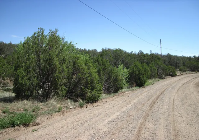 3rd image of 156 Jesse James Rd, Edgewood, NM 87015 | MLS# 1107969