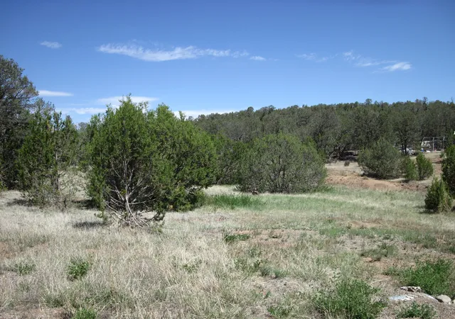 4th image of 156 Jesse James Rd, Edgewood, NM 87015 | MLS# 1107969