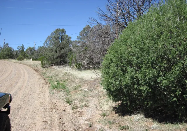 5th image of 156 Jesse James Rd, Edgewood, NM 87015 | MLS# 1107969