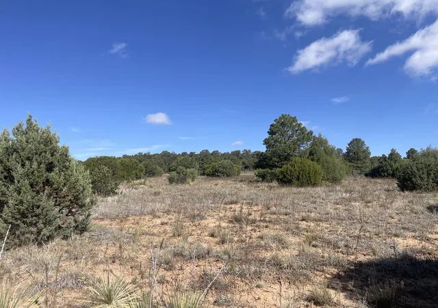 1st image of 119 Anaya Rd, Tijeras, NM 87059 | MLS# 1107978