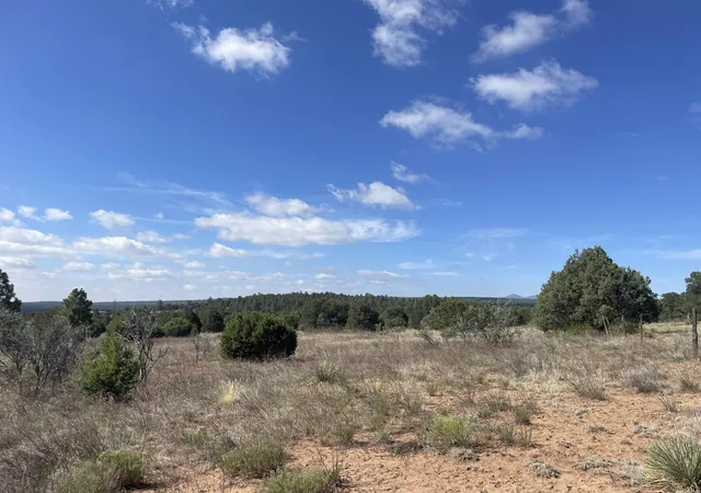 24th image of 119 Anaya Rd, Tijeras, NM 87059 | MLS# 1107978