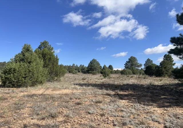 2nd image of 119 Anaya Rd, Tijeras, NM 87059 | MLS# 1107978