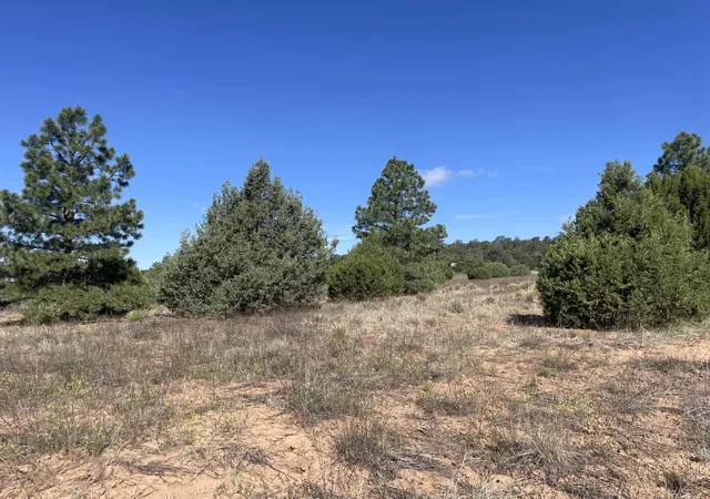 3rd image of 119 Anaya Rd, Tijeras, NM 87059 | MLS# 1107978